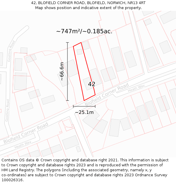 42, BLOFIELD CORNER ROAD, BLOFIELD, NORWICH, NR13 4RT: Plot and title map