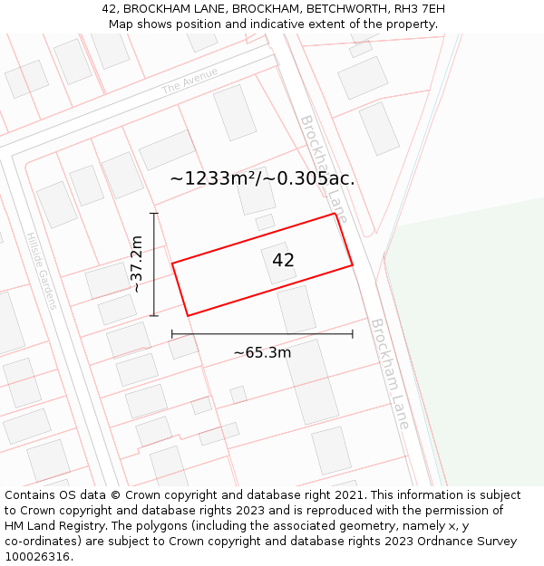 42, BROCKHAM LANE, BROCKHAM, BETCHWORTH, RH3 7EH: Plot and title map