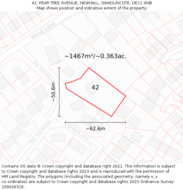 42, PEAR TREE AVENUE, NEWHALL, SWADLINCOTE, DE11 0NB: Plot and title map