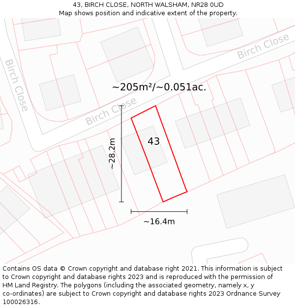 43, BIRCH CLOSE, NORTH WALSHAM, NR28 0UD: Plot and title map