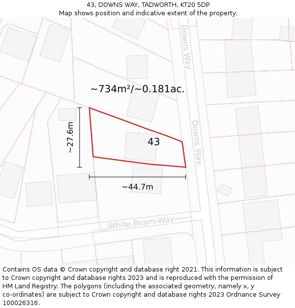 43, DOWNS WAY, TADWORTH, KT20 5DP: Plot and title map