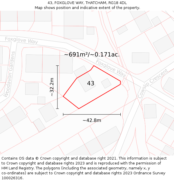 43, FOXGLOVE WAY, THATCHAM, RG18 4DL: Plot and title map