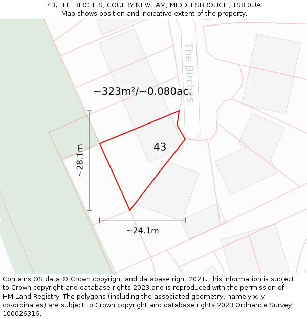 43, THE BIRCHES, COULBY NEWHAM, MIDDLESBROUGH, TS8 0UA: Plot and title map