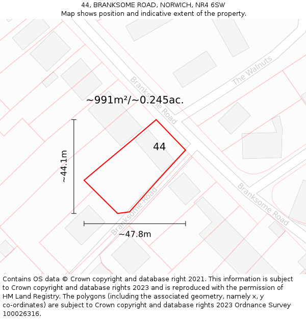 44, BRANKSOME ROAD, NORWICH, NR4 6SW: Plot and title map