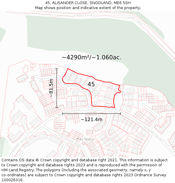 45, ALISANDER CLOSE, SNODLAND, ME6 5SH: Plot and title map