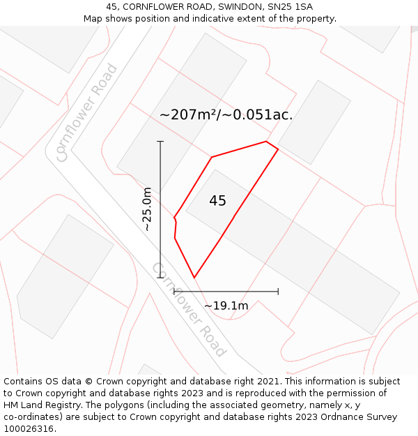 45, CORNFLOWER ROAD, SWINDON, SN25 1SA: Plot and title map