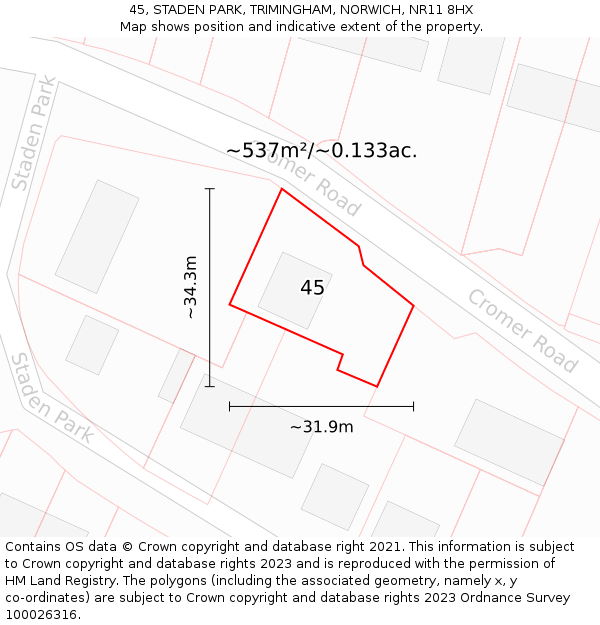 45, STADEN PARK, TRIMINGHAM, NORWICH, NR11 8HX: Plot and title map