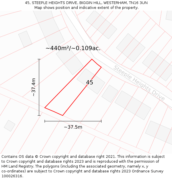 45, STEEPLE HEIGHTS DRIVE, BIGGIN HILL, WESTERHAM, TN16 3UN: Plot and title map