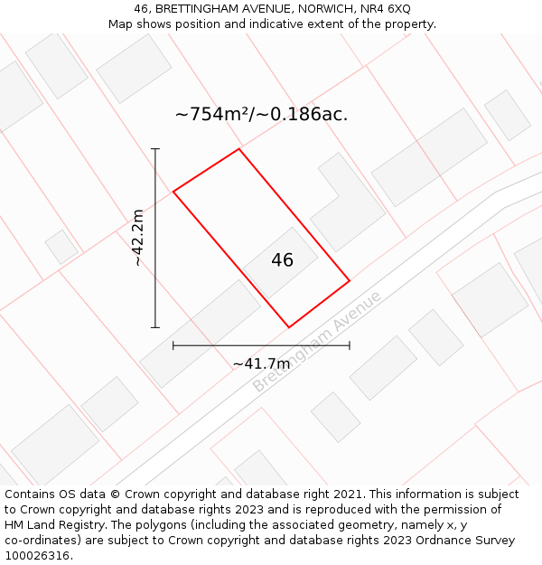 46, BRETTINGHAM AVENUE, NORWICH, NR4 6XQ: Plot and title map