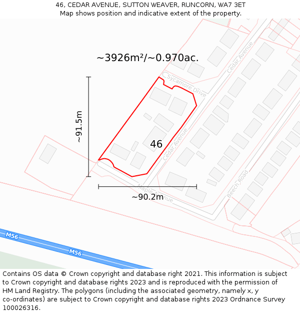 46, CEDAR AVENUE, SUTTON WEAVER, RUNCORN, WA7 3ET: Plot and title map