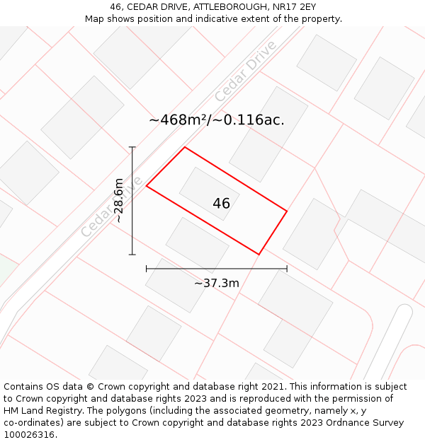46, CEDAR DRIVE, ATTLEBOROUGH, NR17 2EY: Plot and title map