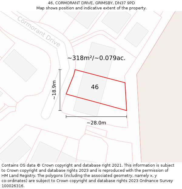 46, CORMORANT DRIVE, GRIMSBY, DN37 9PD: Plot and title map