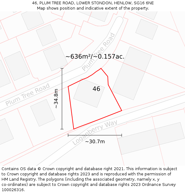 46, PLUM TREE ROAD, LOWER STONDON, HENLOW, SG16 6NE: Plot and title map