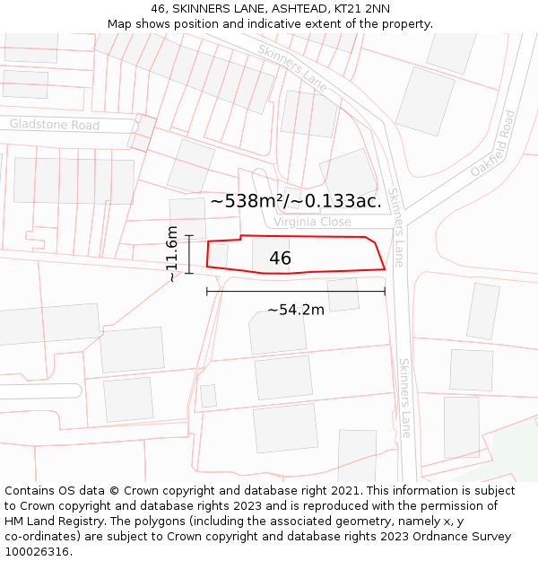 46, SKINNERS LANE, ASHTEAD, KT21 2NN: Plot and title map