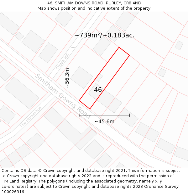 46, SMITHAM DOWNS ROAD, PURLEY, CR8 4ND: Plot and title map