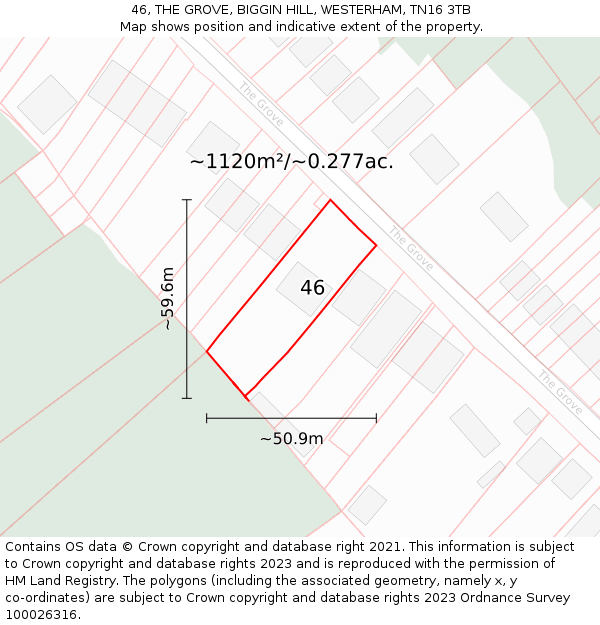 46, THE GROVE, BIGGIN HILL, WESTERHAM, TN16 3TB: Plot and title map
