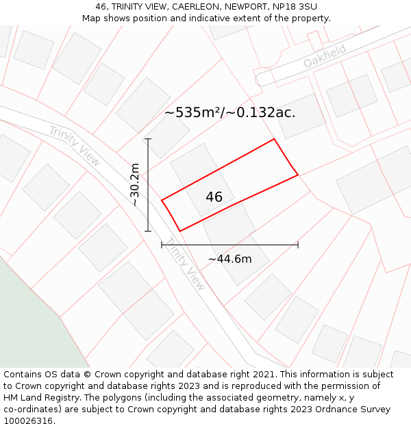 46, TRINITY VIEW, CAERLEON, NEWPORT, NP18 3SU: Plot and title map