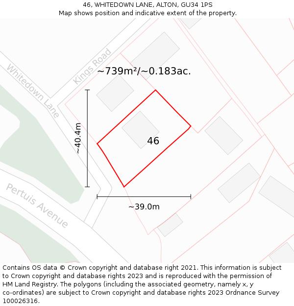 46, WHITEDOWN LANE, ALTON, GU34 1PS: Plot and title map