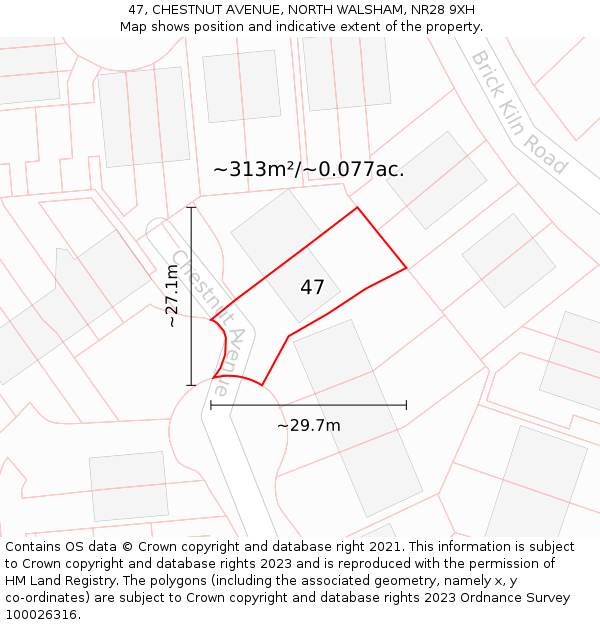 47, CHESTNUT AVENUE, NORTH WALSHAM, NR28 9XH: Plot and title map