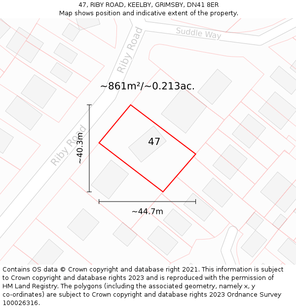 47, RIBY ROAD, KEELBY, GRIMSBY, DN41 8ER: Plot and title map