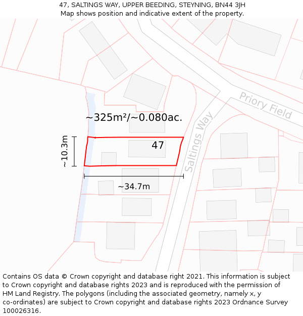 47, SALTINGS WAY, UPPER BEEDING, STEYNING, BN44 3JH: Plot and title map