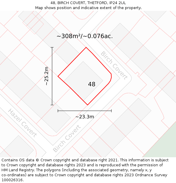 48, BIRCH COVERT, THETFORD, IP24 2UL: Plot and title map