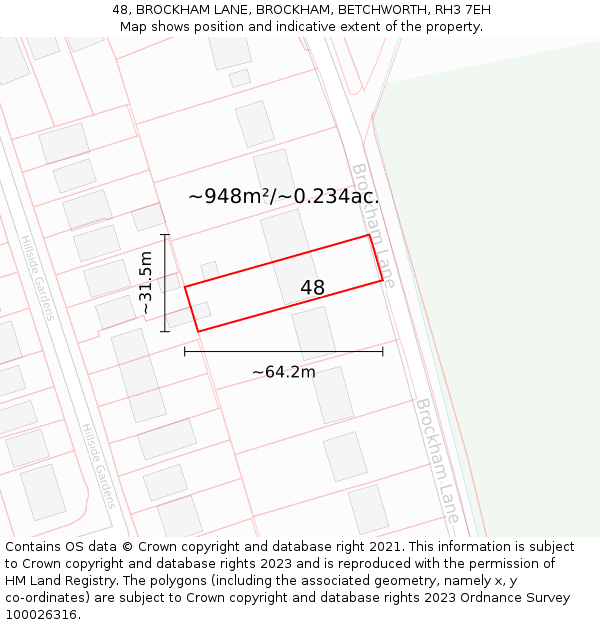 48, BROCKHAM LANE, BROCKHAM, BETCHWORTH, RH3 7EH: Plot and title map