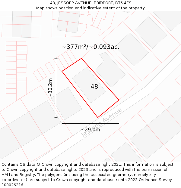 48, JESSOPP AVENUE, BRIDPORT, DT6 4ES: Plot and title map