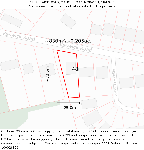 48, KESWICK ROAD, CRINGLEFORD, NORWICH, NR4 6UQ: Plot and title map
