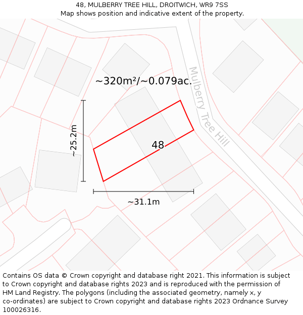 48, MULBERRY TREE HILL, DROITWICH, WR9 7SS: Plot and title map