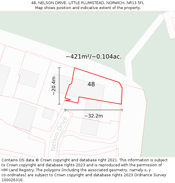 48, NELSON DRIVE, LITTLE PLUMSTEAD, NORWICH, NR13 5FL: Plot and title map