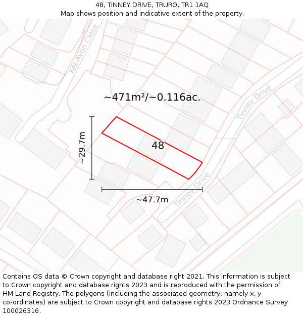 48, TINNEY DRIVE, TRURO, TR1 1AQ: Plot and title map