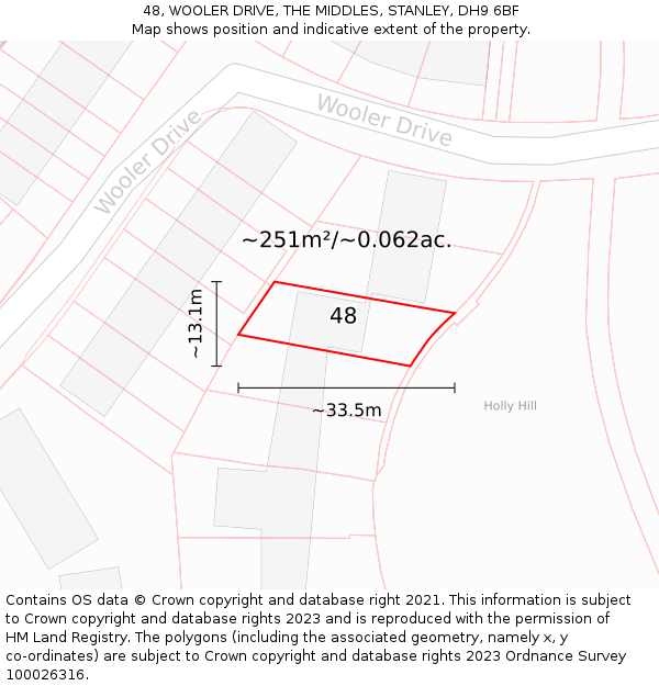 48, WOOLER DRIVE, THE MIDDLES, STANLEY, DH9 6BF: Plot and title map