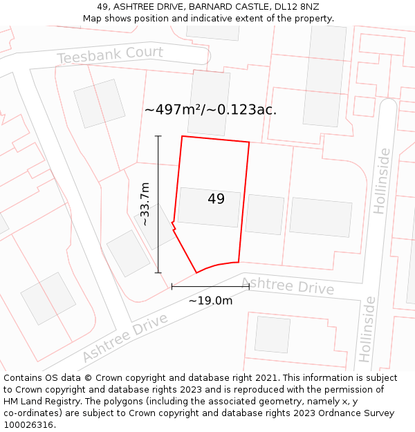 49, ASHTREE DRIVE, BARNARD CASTLE, DL12 8NZ: Plot and title map