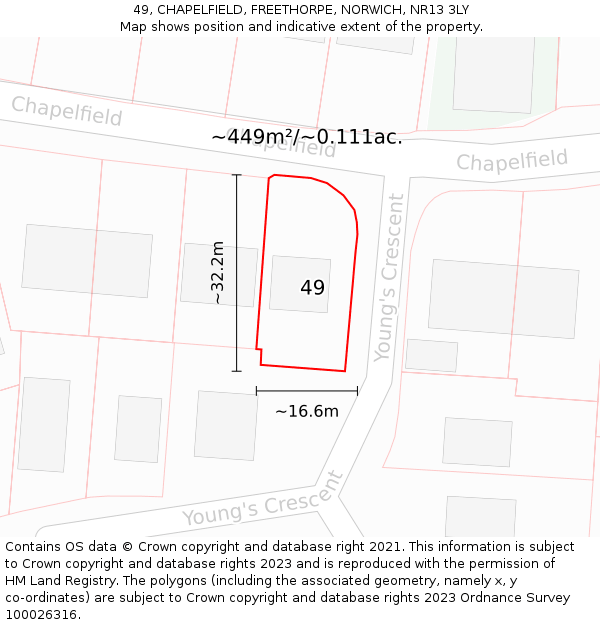 49, CHAPELFIELD, FREETHORPE, NORWICH, NR13 3LY: Plot and title map
