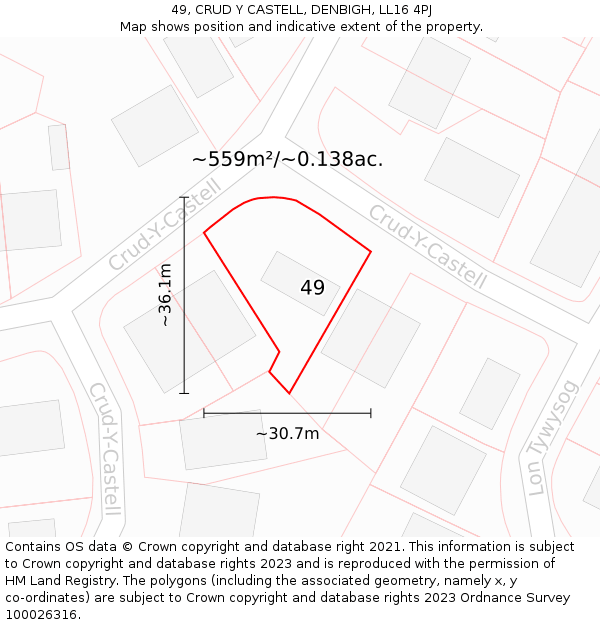 49, CRUD Y CASTELL, DENBIGH, LL16 4PJ: Plot and title map