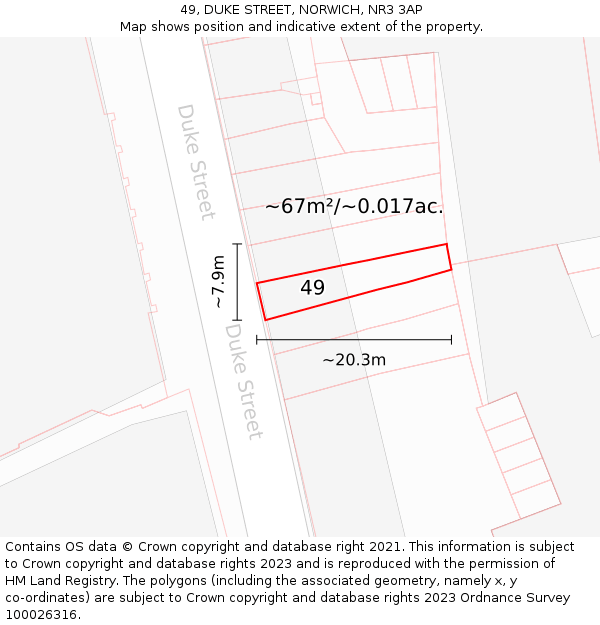 49, DUKE STREET, NORWICH, NR3 3AP: Plot and title map
