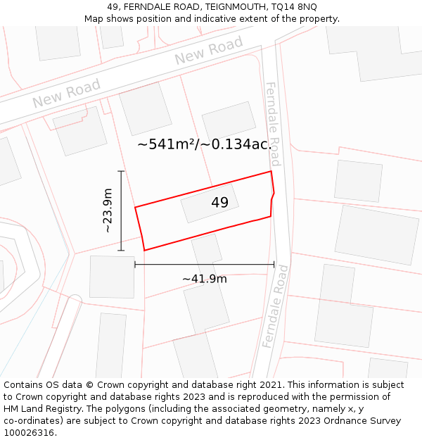 49, FERNDALE ROAD, TEIGNMOUTH, TQ14 8NQ: Plot and title map