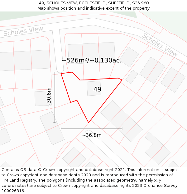 49, SCHOLES VIEW, ECCLESFIELD, SHEFFIELD, S35 9YQ: Plot and title map