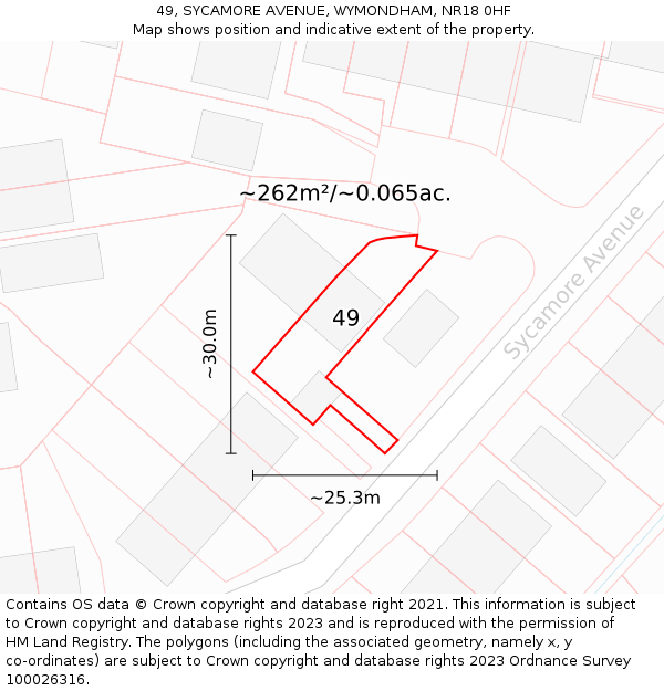 49, SYCAMORE AVENUE, WYMONDHAM, NR18 0HF: Plot and title map