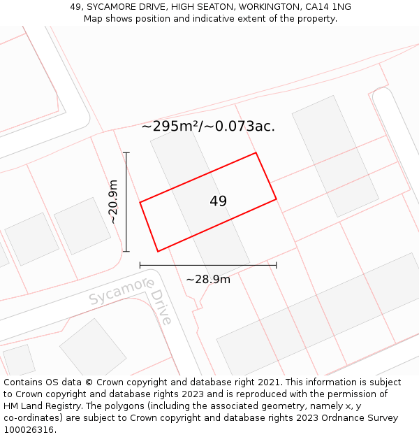 49, SYCAMORE DRIVE, HIGH SEATON, WORKINGTON, CA14 1NG: Plot and title map