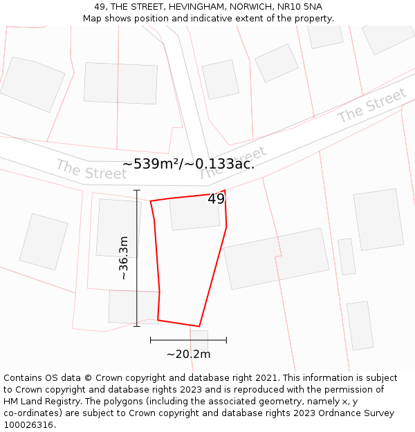 49, THE STREET, HEVINGHAM, NORWICH, NR10 5NA: Plot and title map