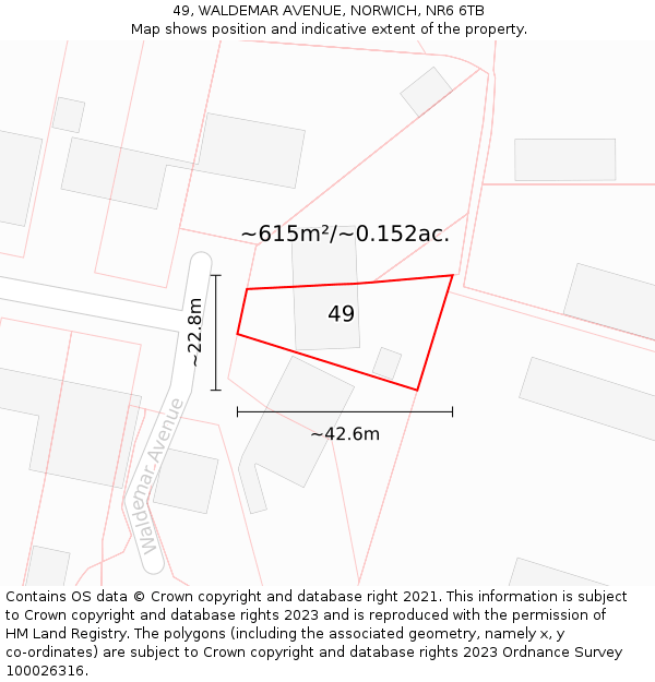 49, WALDEMAR AVENUE, NORWICH, NR6 6TB: Plot and title map