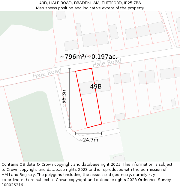 49B, HALE ROAD, BRADENHAM, THETFORD, IP25 7RA: Plot and title map