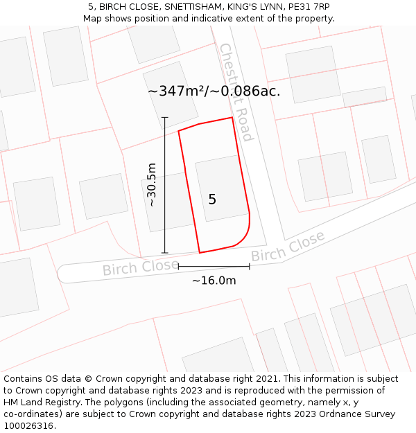 5, BIRCH CLOSE, SNETTISHAM, KING'S LYNN, PE31 7RP: Plot and title map