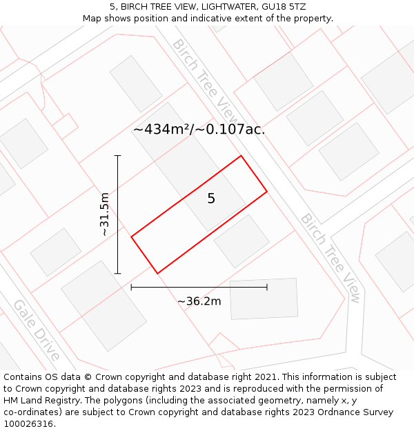 5, BIRCH TREE VIEW, LIGHTWATER, GU18 5TZ: Plot and title map