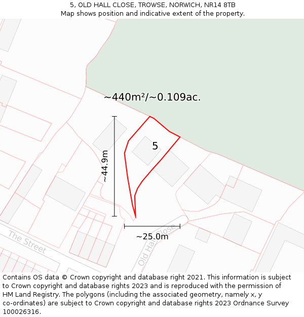 5, OLD HALL CLOSE, TROWSE, NORWICH, NR14 8TB: Plot and title map