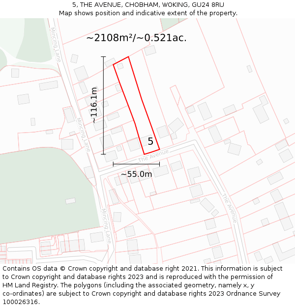 5, THE AVENUE, CHOBHAM, WOKING, GU24 8RU: Plot and title map