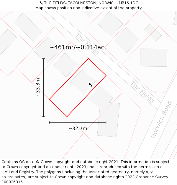 5, THE FIELDS, TACOLNESTON, NORWICH, NR16 1DG: Plot and title map