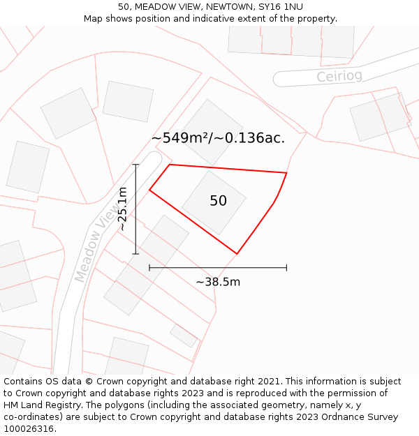 50, MEADOW VIEW, NEWTOWN, SY16 1NU: Plot and title map